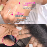 Chocolate Brown Lace Front Wig 13x4 Brown Wig Lace Front Wig for Women 13x4 13x6 lace Human Hair Wig for Daily Wear 40 46 inches