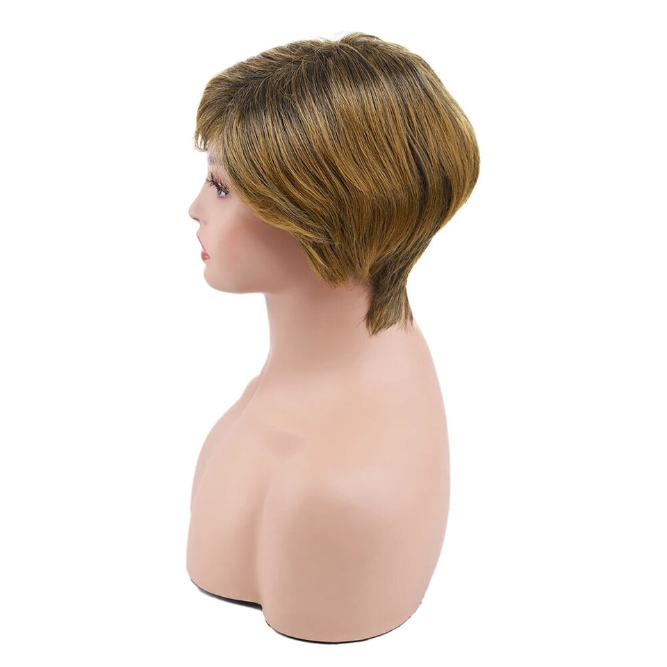 Amir Synthetic Brown Wig Short blonde Wigs Natural Wave Haircut Puffy Straight Hair Wigs for American Africa Women