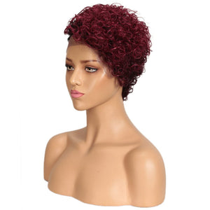 Zetvaa Wigs Curly Lace Front Wig Colored Short Curly Human Hair Wigs For Black Women Ombre Blond Brown Jerry Curl Lace Part Wig